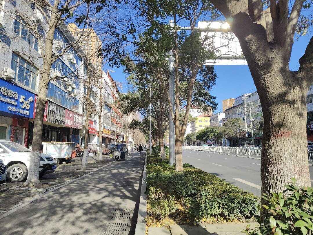 推荐封面