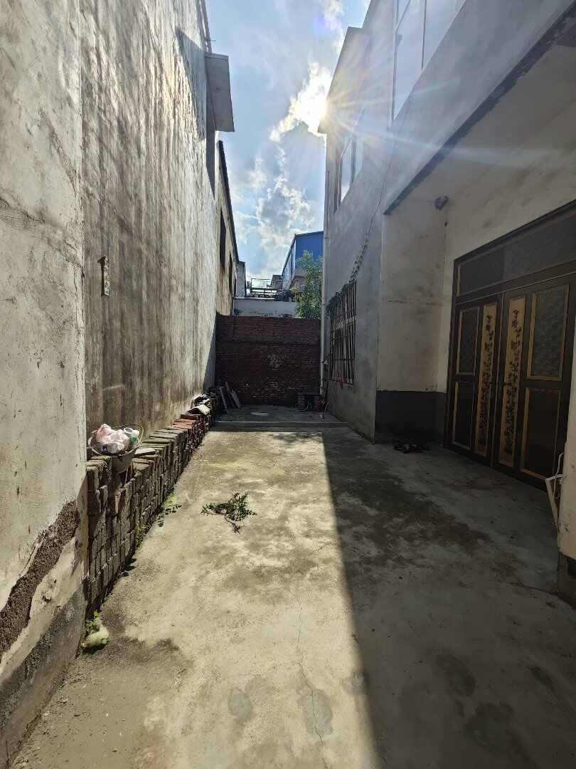 推荐封面